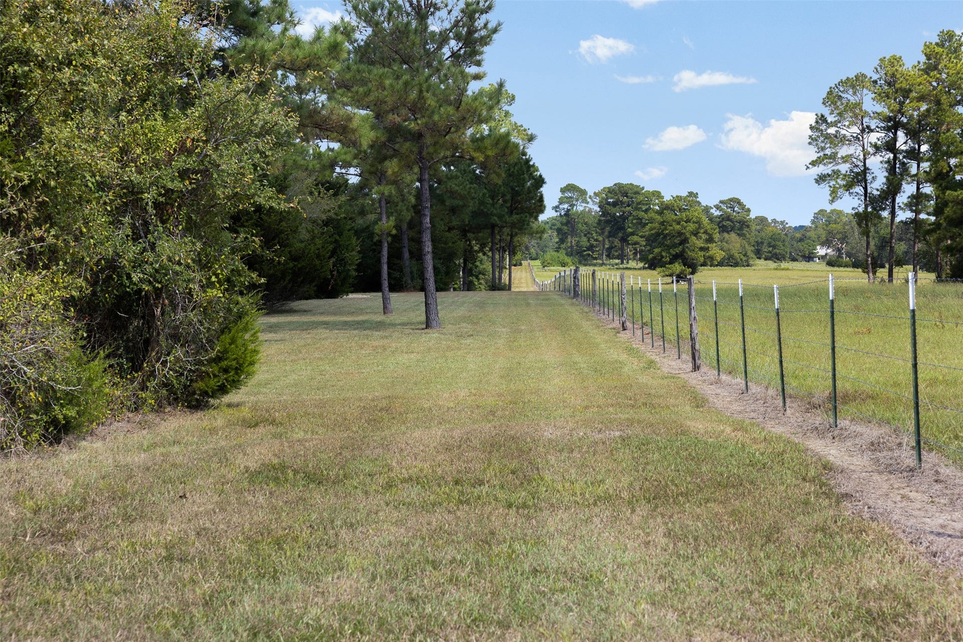 29489 Red Top Road, Richards, TX 77873 29489 Red Top Road, Richards, TX 77873