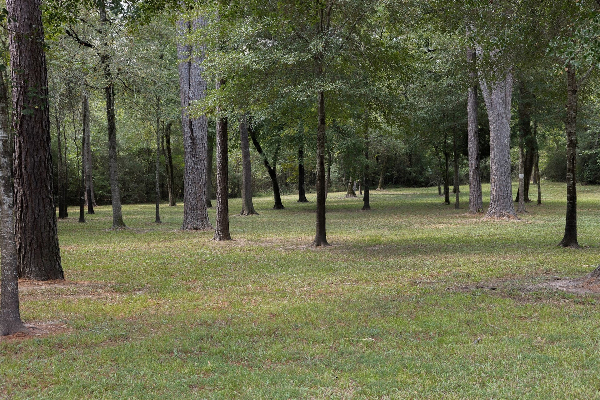 29489 Red Top Road, Richards, TX 77873 29489 Red Top Road, Richards, TX 77873