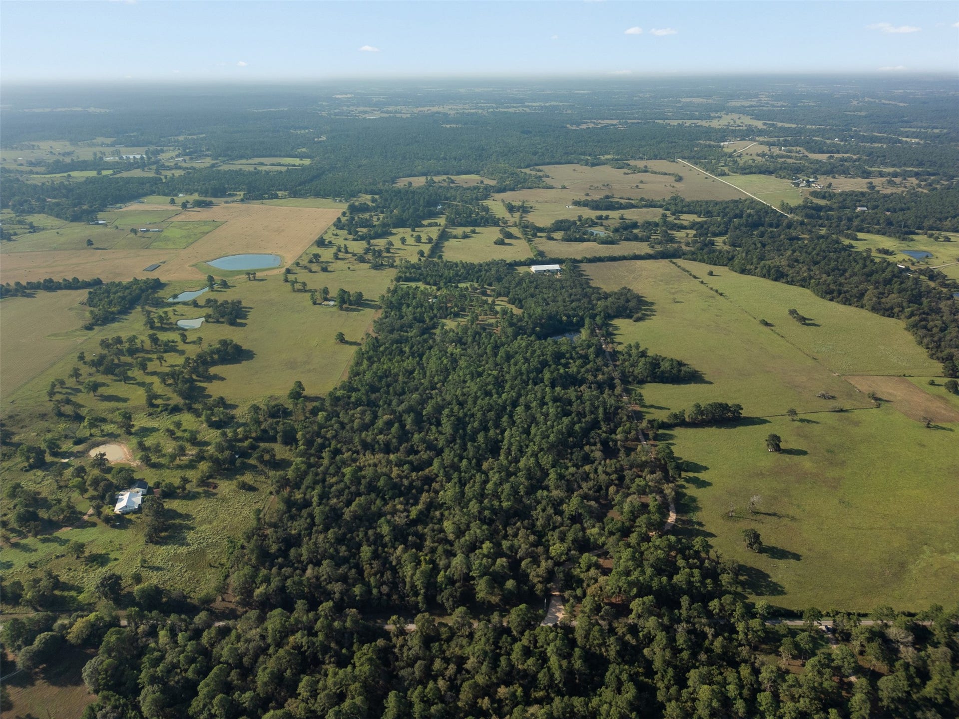 29489 Red Top Road, Richards, TX 77873 29489 Red Top Road, Richards, TX 77873