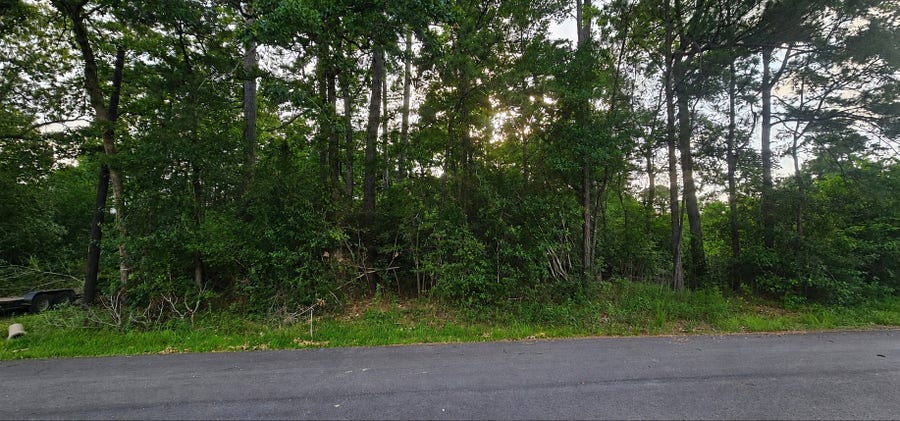 Property photo for 15715 Holly Drive Drive, Montgomery, TX