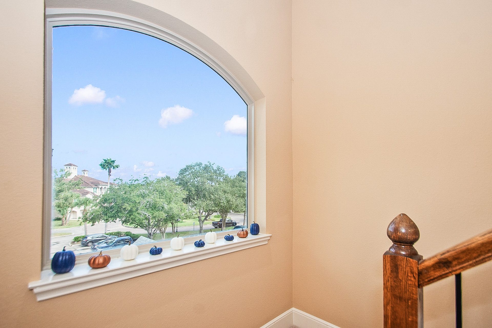 16 Laurelwood Drive, Pasadena, TX 77058 View toward the lake, where your sailboat lives