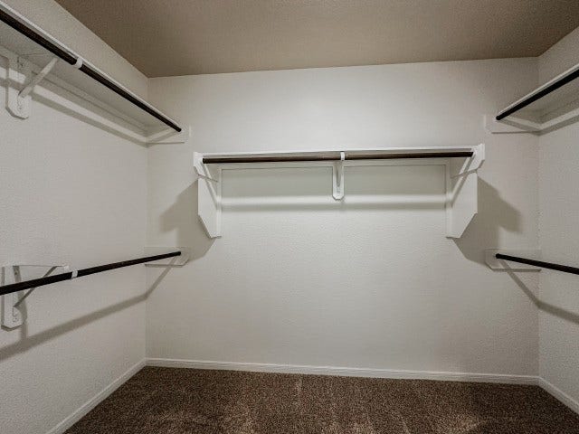 29015 Jacobs River Dr, Katy, TX 77494 Walking closet