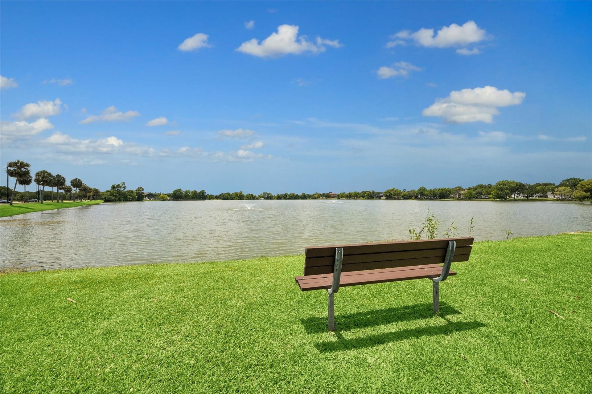 18743 Martinique Drive, Nassau Bay, TX 77058 Walk across and enjoy your coffee looking at the lake.