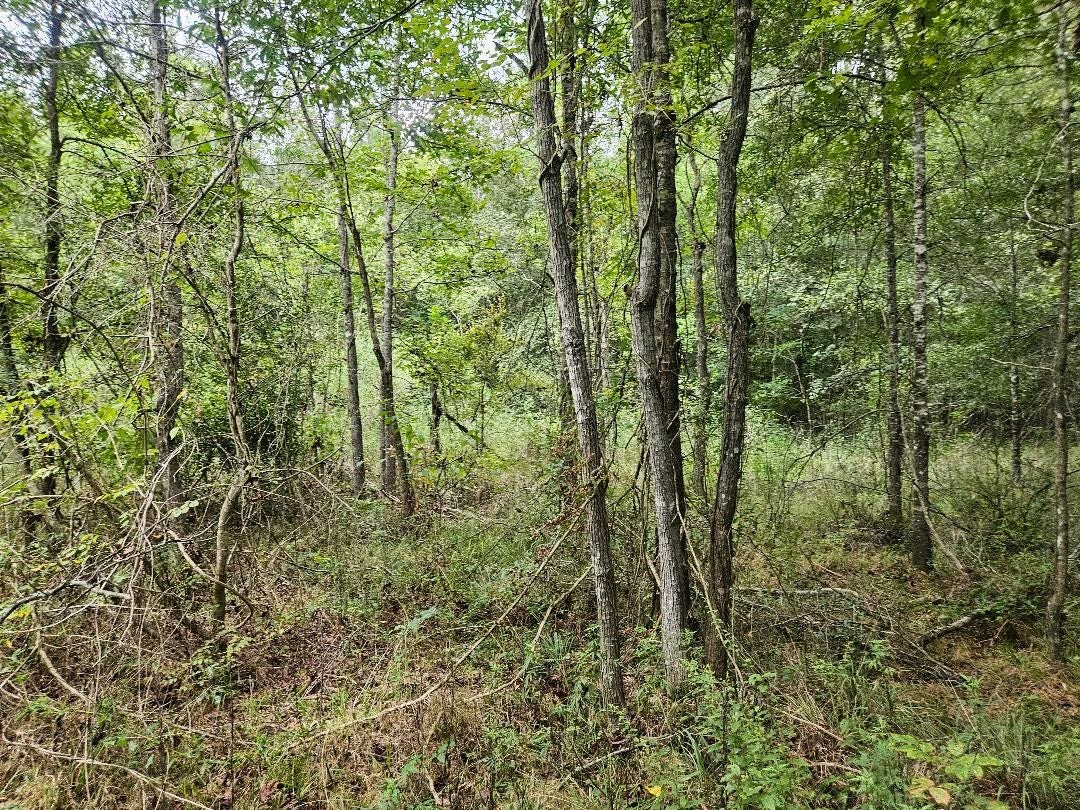 0 Monday Hargrove Rd, New Caney, TX 77357 0 Monday Hargrove Rd, New Caney, TX 77357