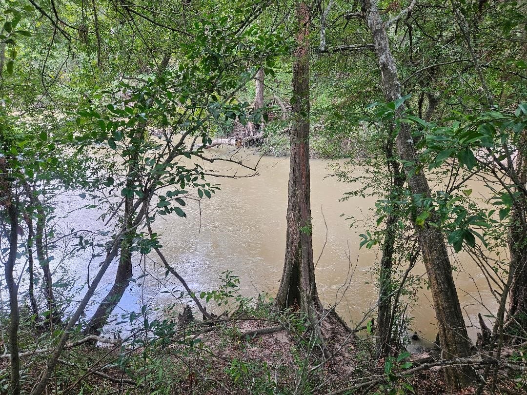 0 Monday Hargrove Rd, New Caney, TX 77357 0 Monday Hargrove Rd, New Caney, TX 77357