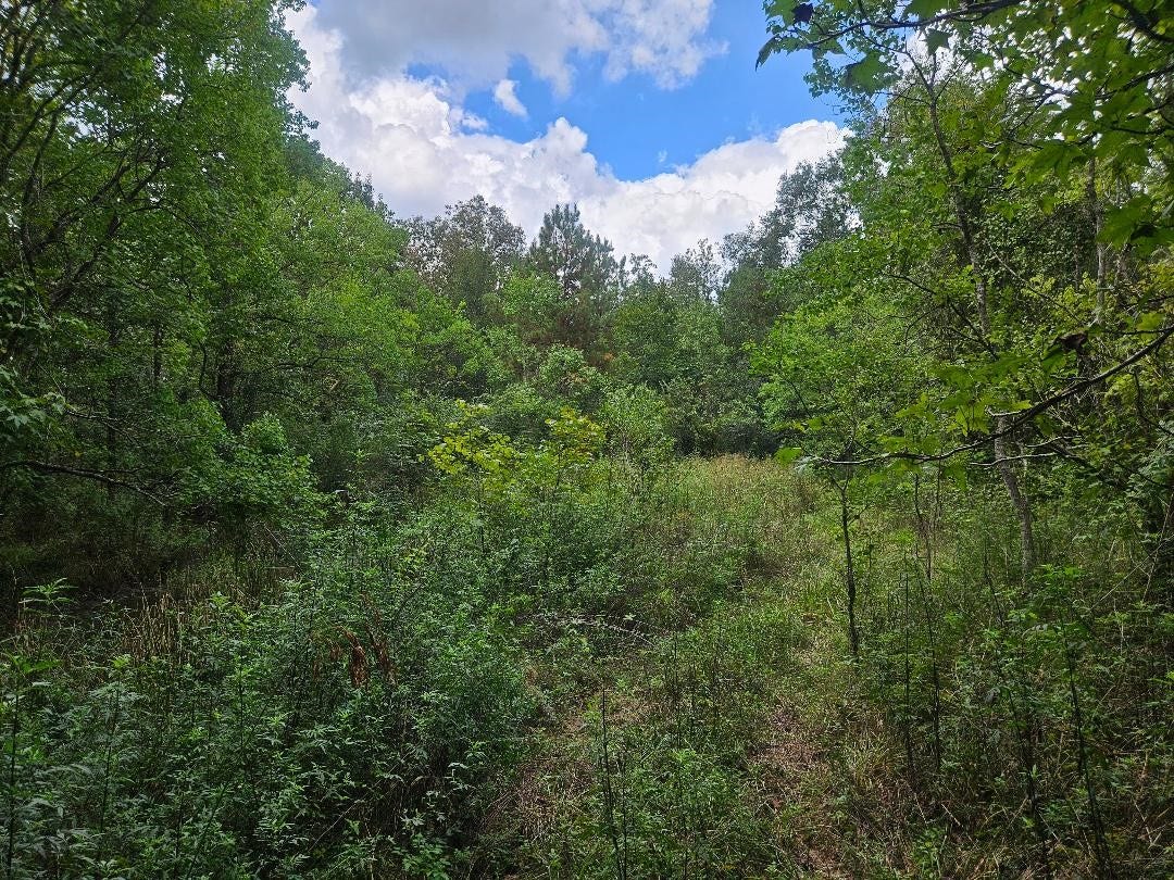 0 Monday Hargrove Rd, New Caney, TX 77357 0 Monday Hargrove Rd, New Caney, TX 77357