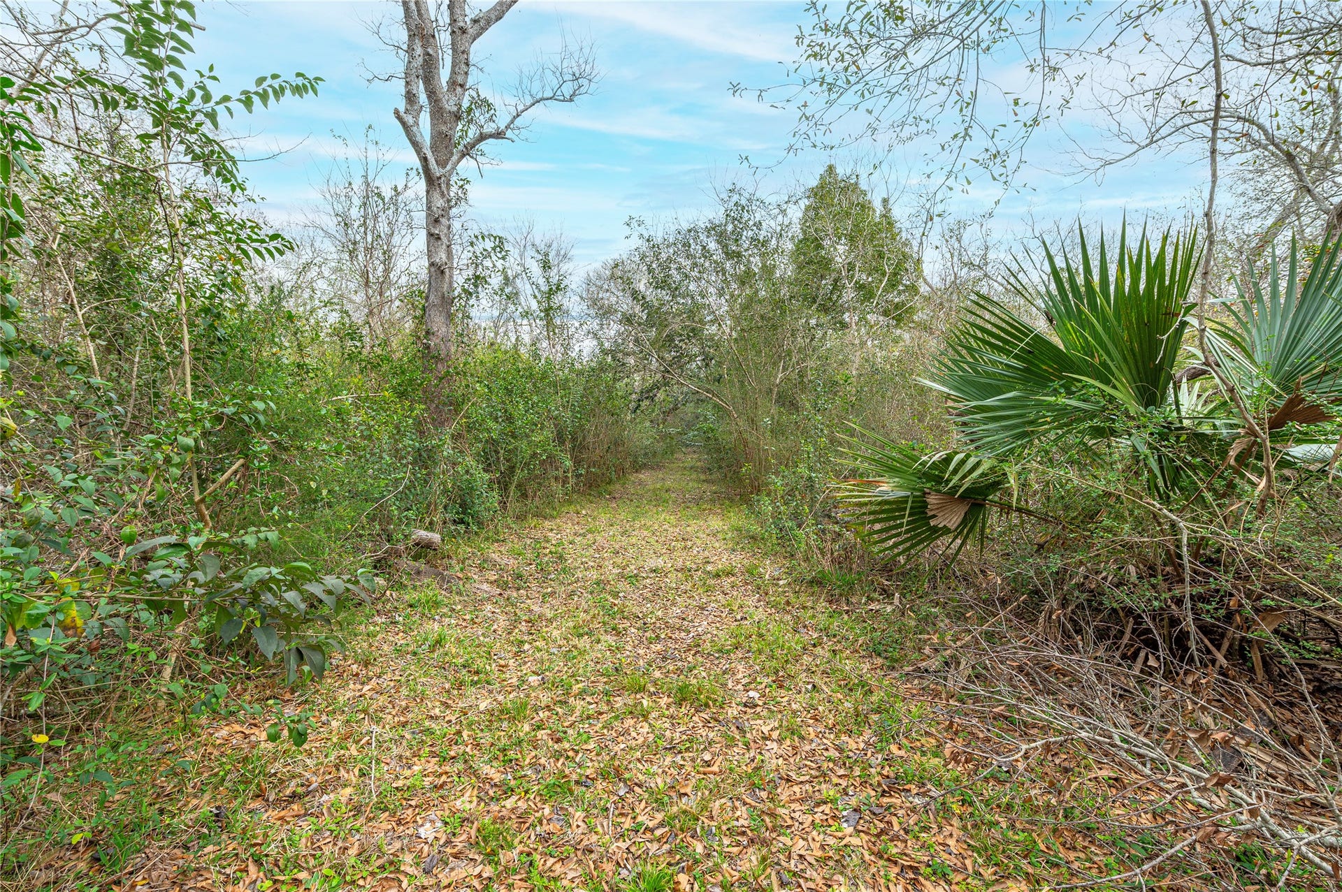 9103 Lazy Lane, Hitchcock, TX 77563 walking trail