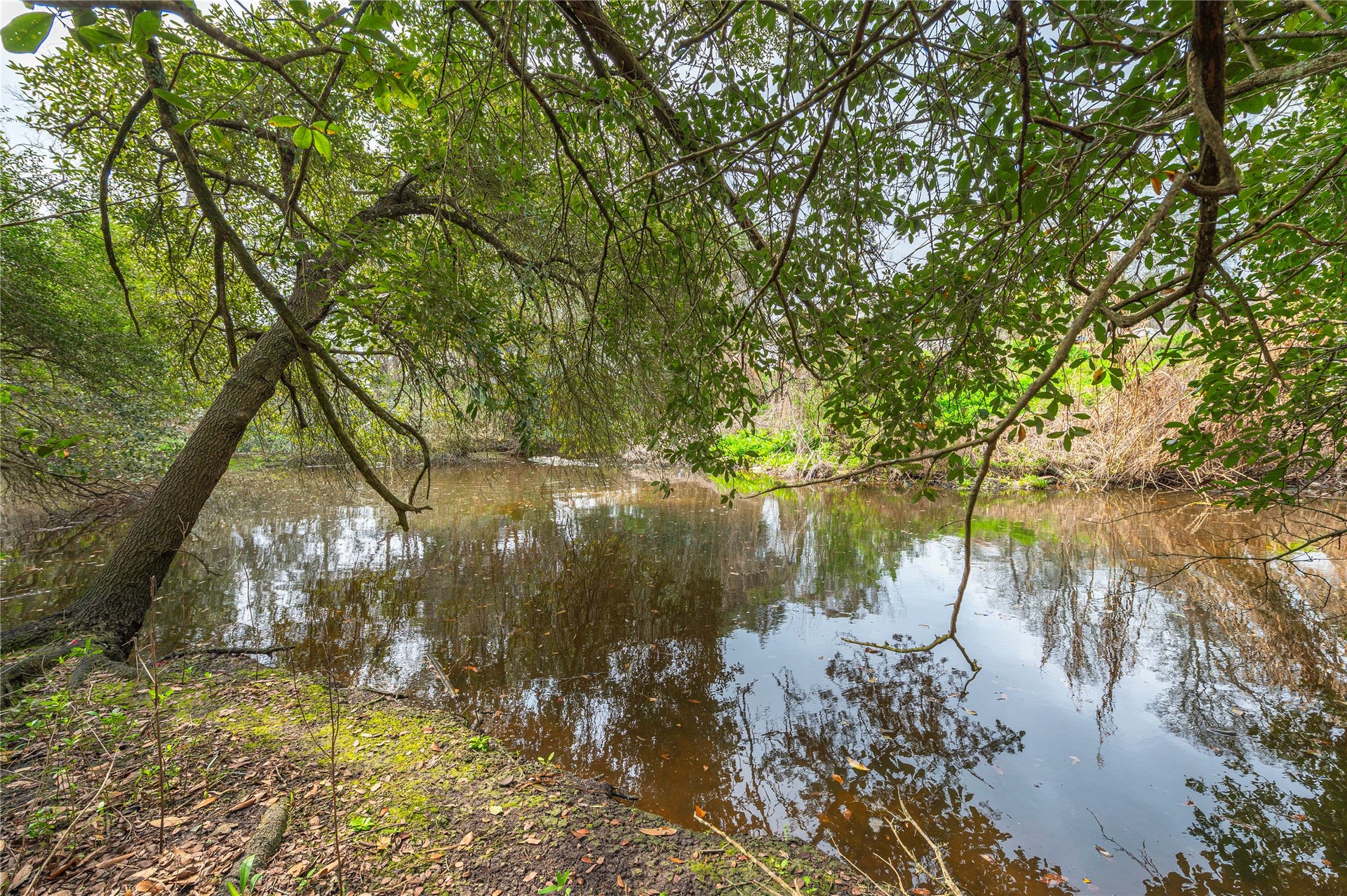 9103 Lazy Lane, Hitchcock, TX 77563 Bayou behind at the back of the lot