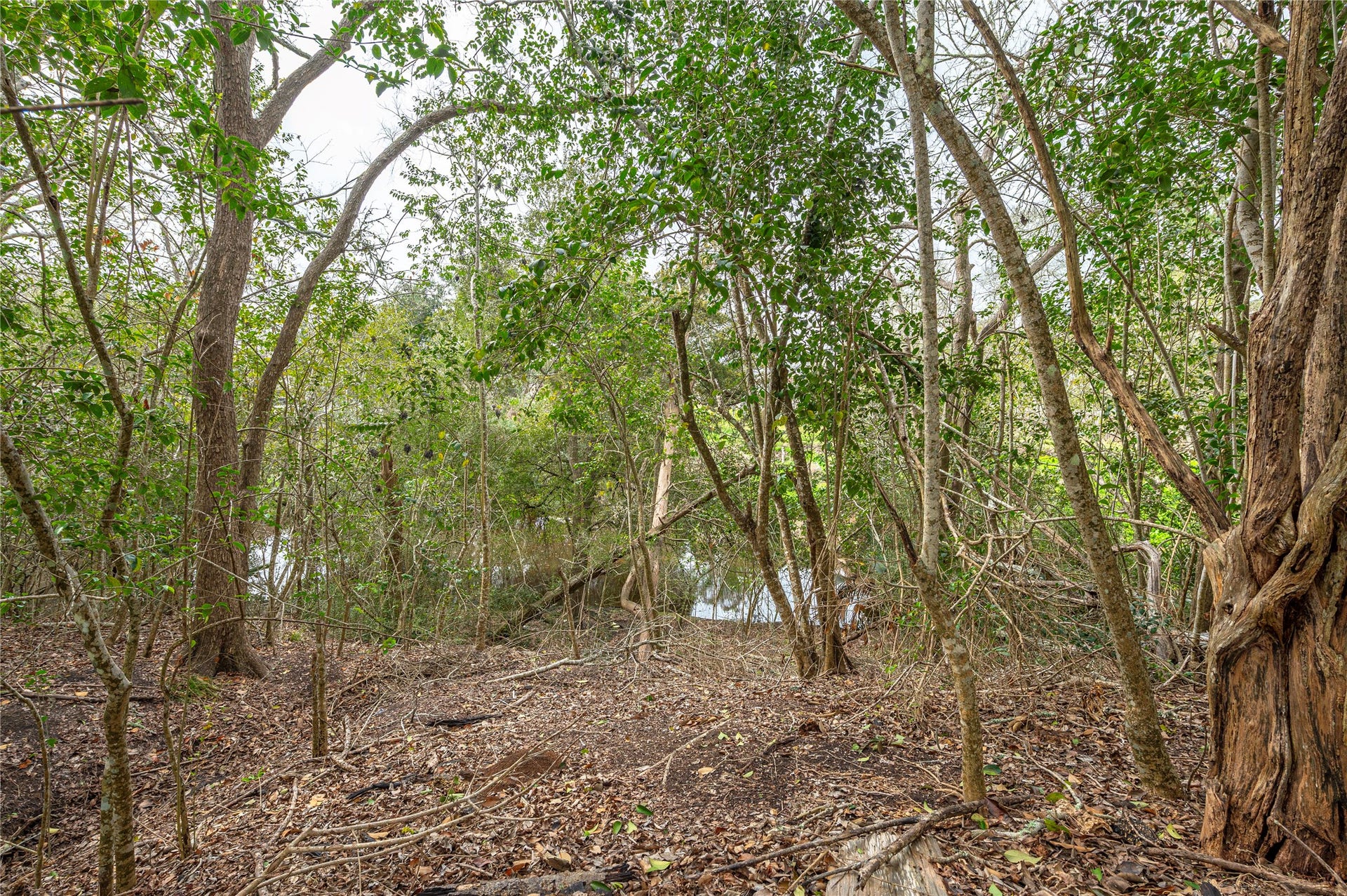 9103 Lazy Lane, Hitchcock, TX 77563 trail to the bayou