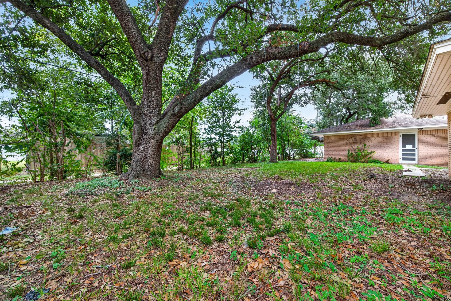 Backyard view