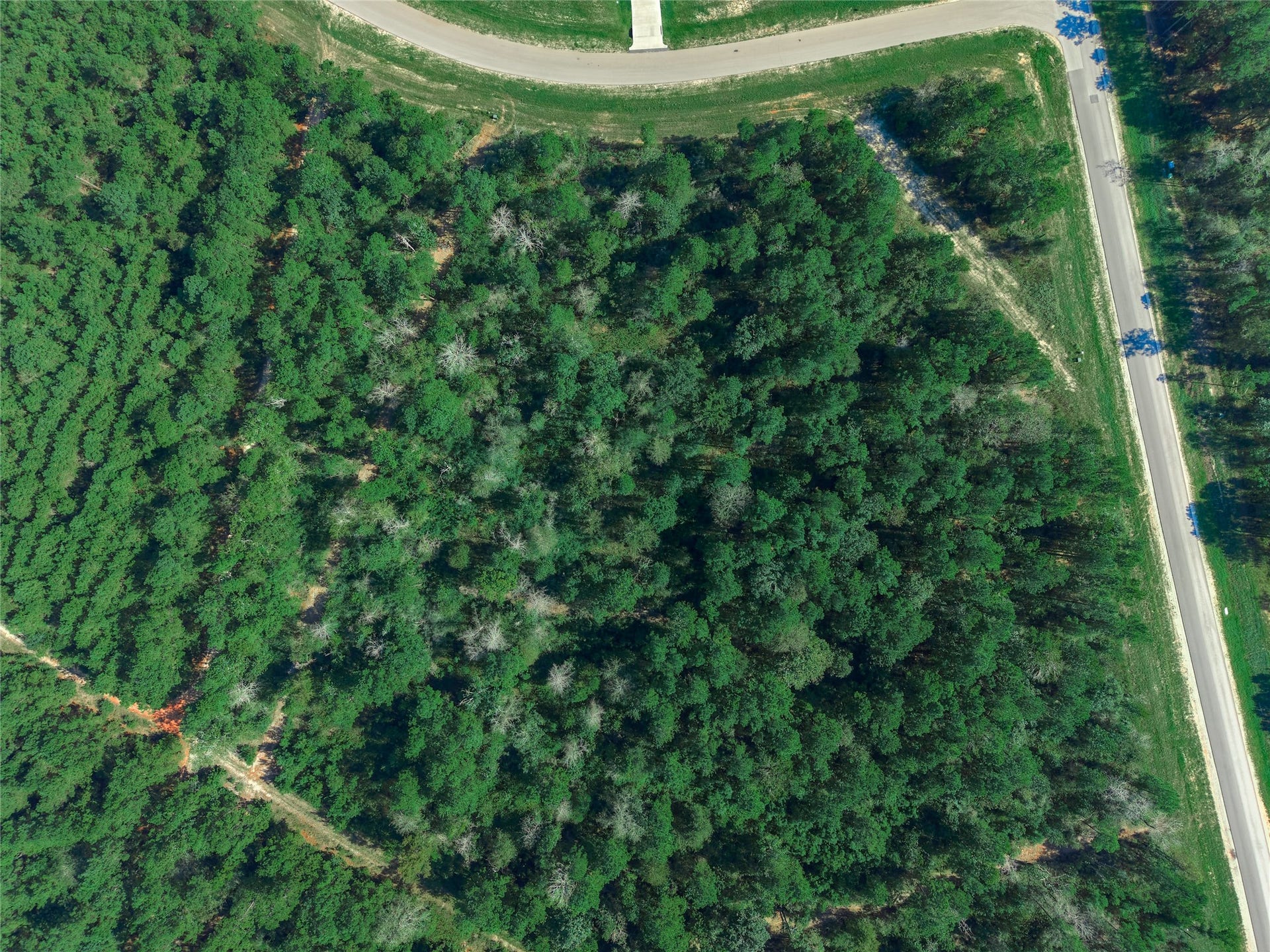 11911 Grand North Road, Willis, TX 77378