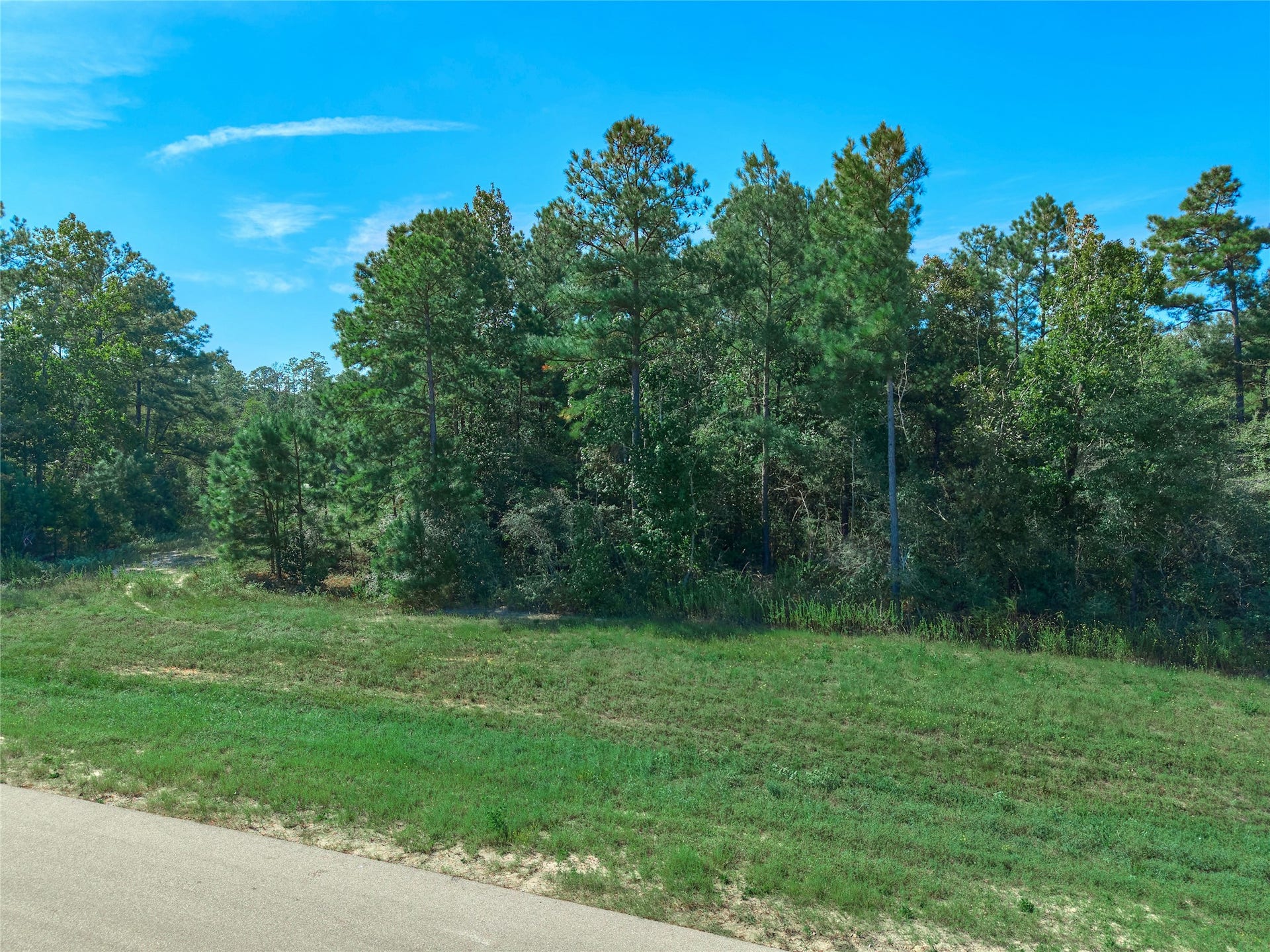 11911 Grand North Road, Willis, TX 77378