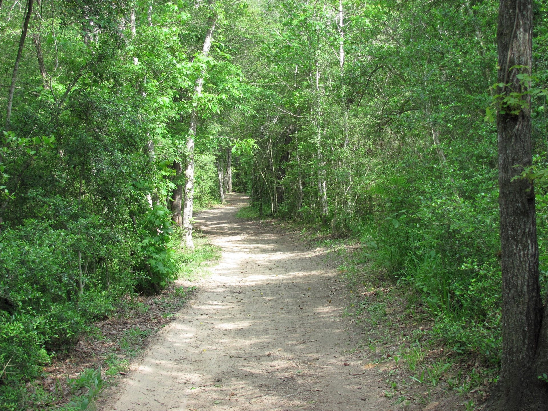 306 Foster Street, Tomball, TX 77375 There are several local hike & bike trails for those who enjoy a nice break outdoors for a breath of fresh air!