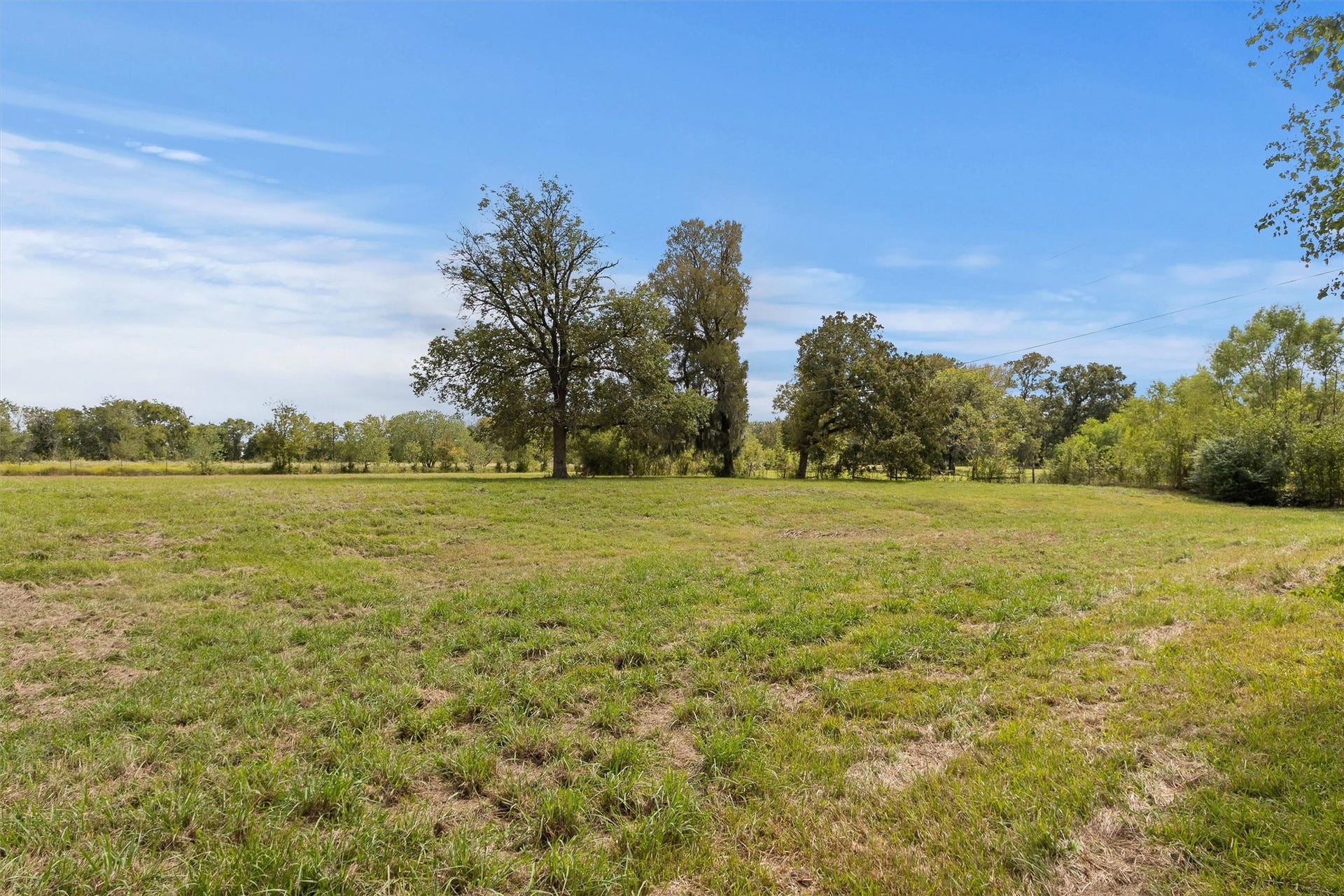 26962 Old Highway 105 W, Montgomery, TX 77316 Mostly cleared pastures with beautiful mature trees