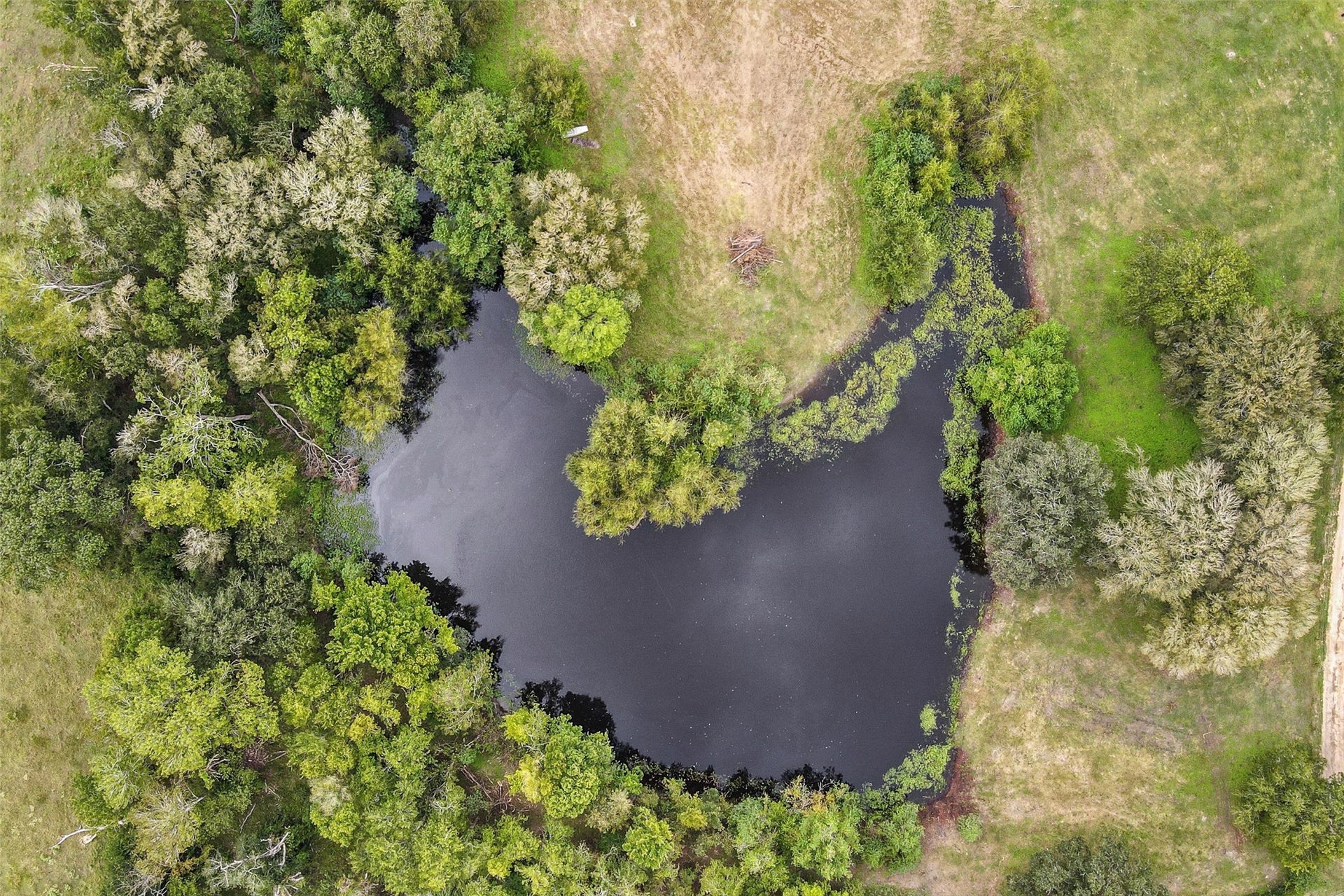 26962 Old Highway 105 W, Montgomery, TX 77316 Aerial view of the pond