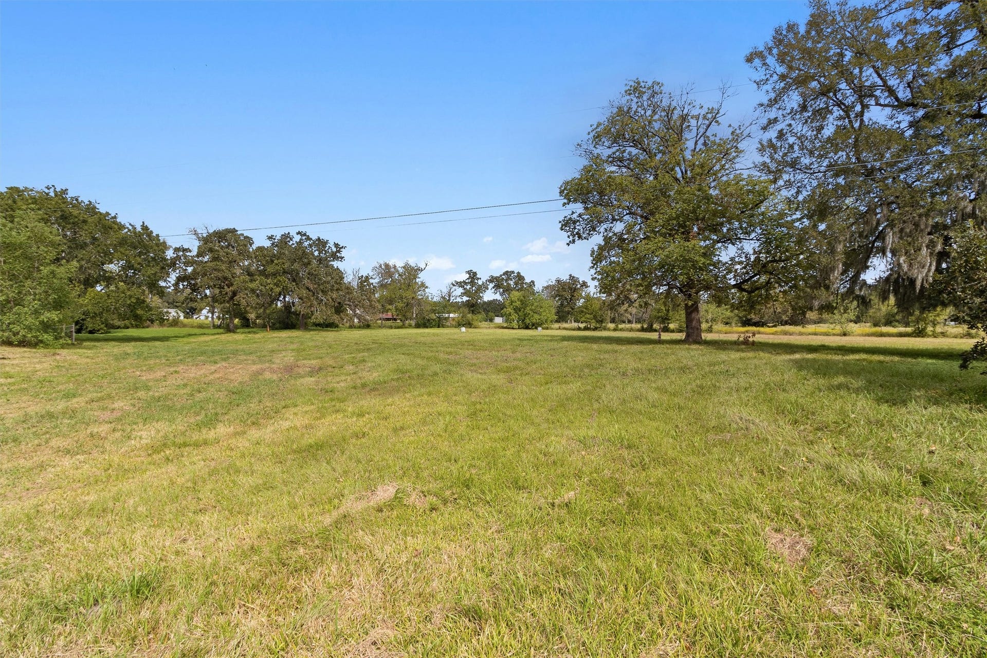26962 Old Highway 105 W, Montgomery, TX 77316 Mostly cleared pastures with beautiful mature trees