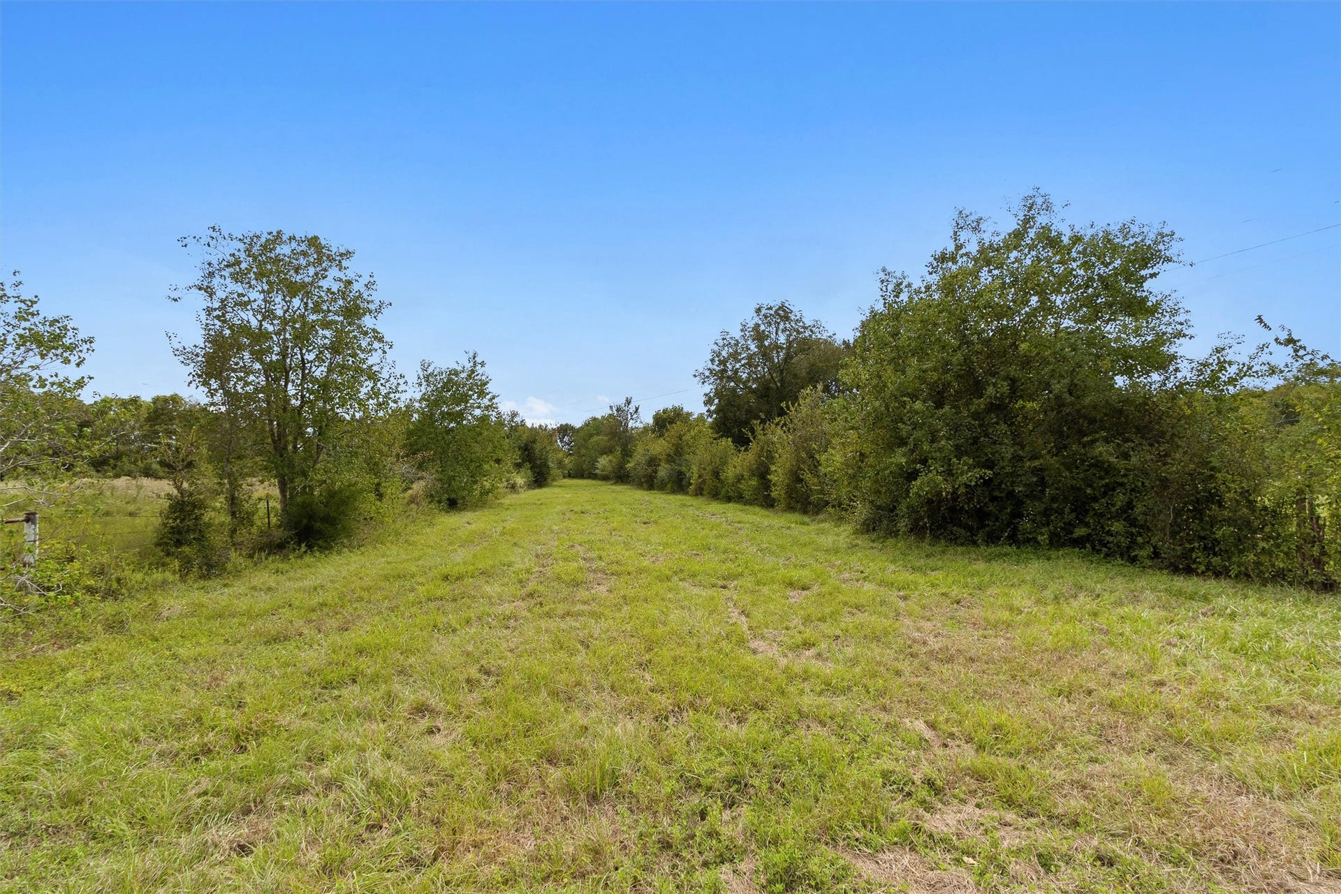 26962 Old Highway 105 W, Montgomery, TX 77316 Mostly cleared pastures with beautiful mature trees