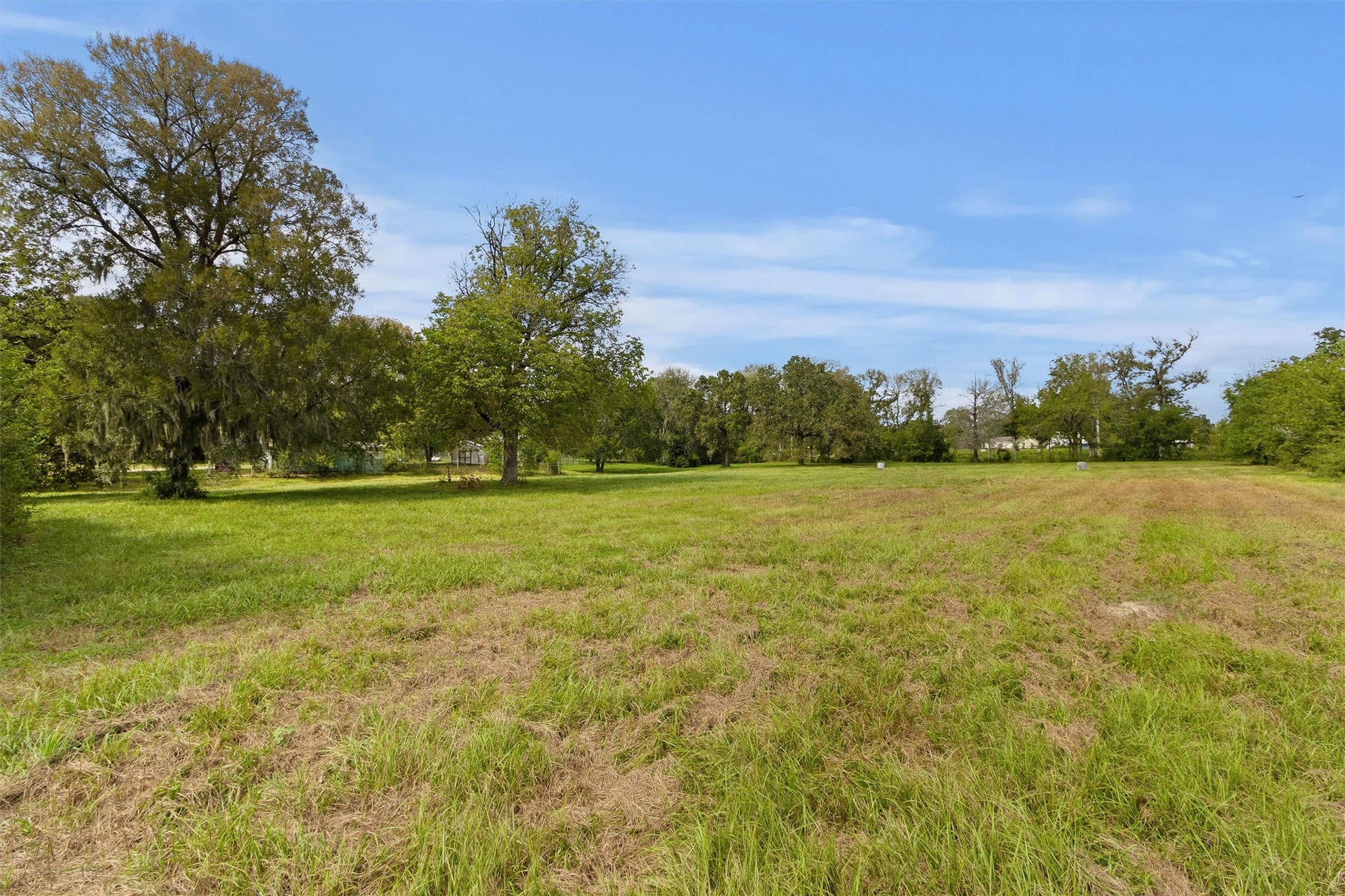 26962 Old Highway 105 W, Montgomery, TX 77316 Mostly cleared pastures with beautiful mature trees
