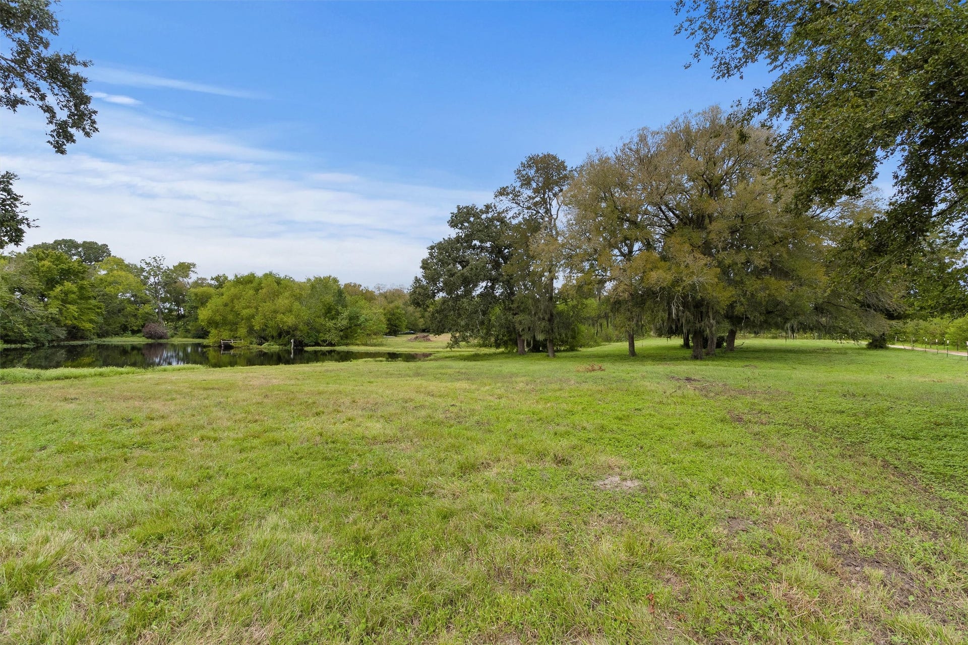 26962 Old Highway 105 W, Montgomery, TX 77316 Rolling pasture leading to the pond
