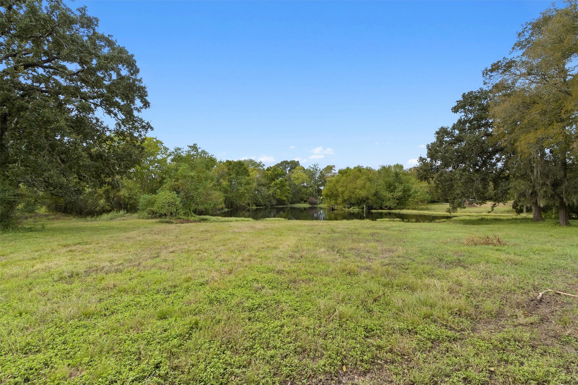 26962 Old Highway 105 W, Montgomery, TX 77316 Another view of pasture and pond