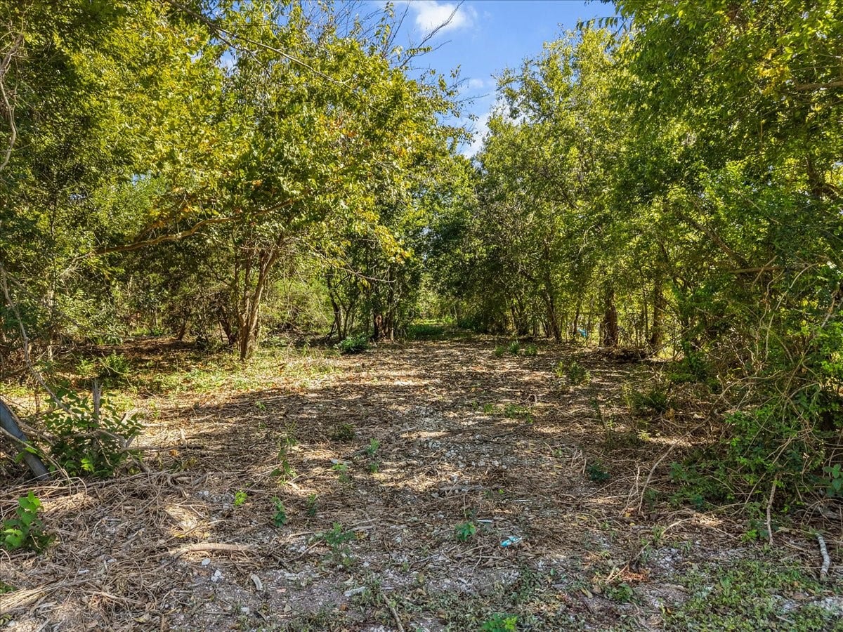 5029 1/2 Ike Franks Road, Santa Fe, TX 77517 Part of the property has been cleared for access, and it can be used as a future driveway.