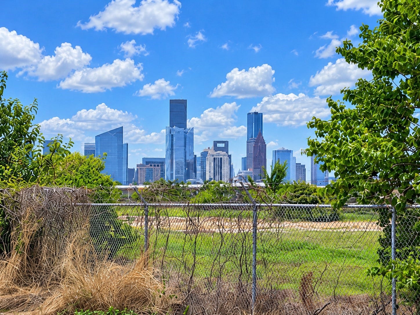 Houston Skyline from Front of house