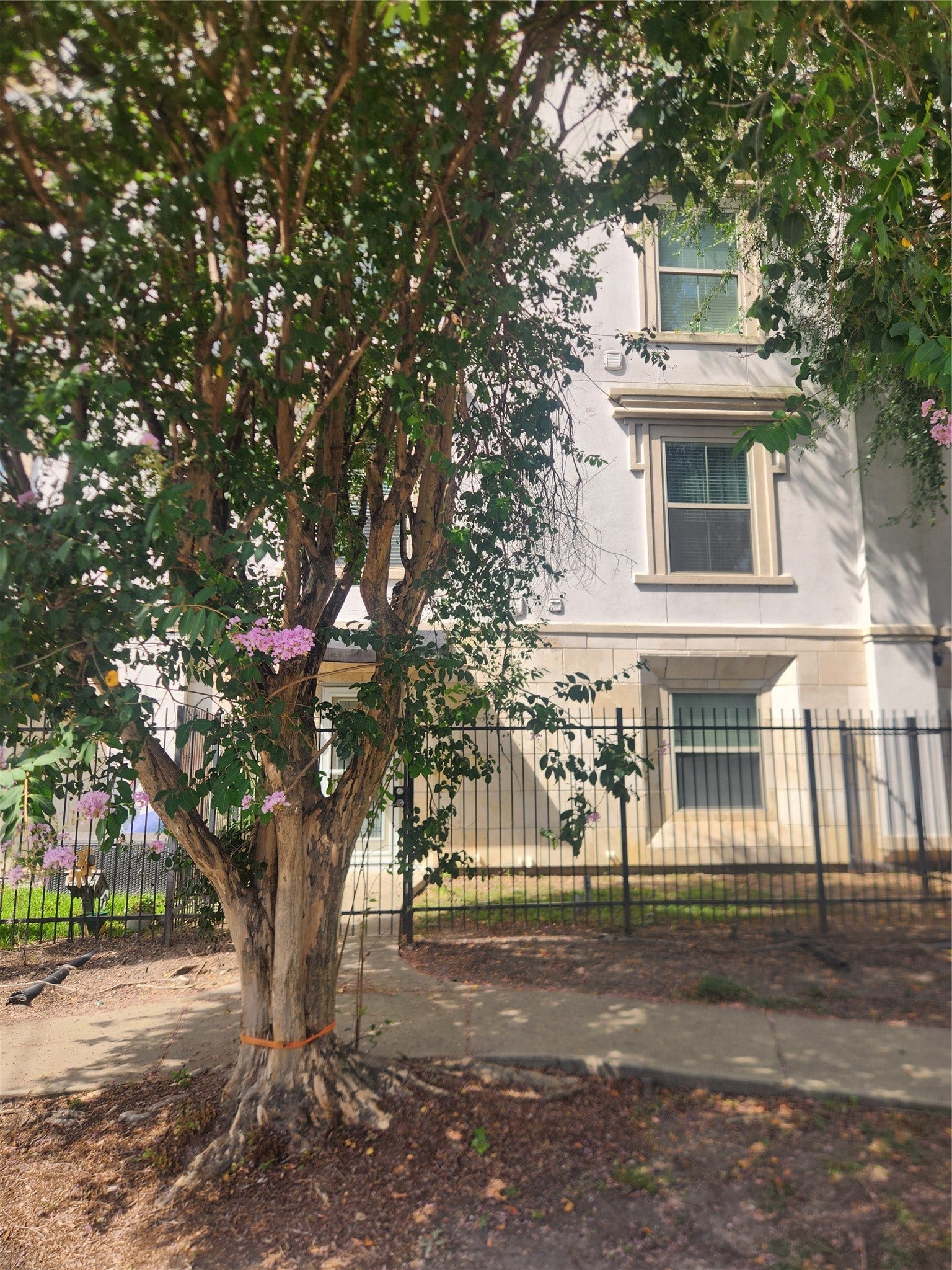 3501 Chenevert Street, #2, Houston, TX 77004 3501 Chenevert Street, #2, Houston, TX 77004