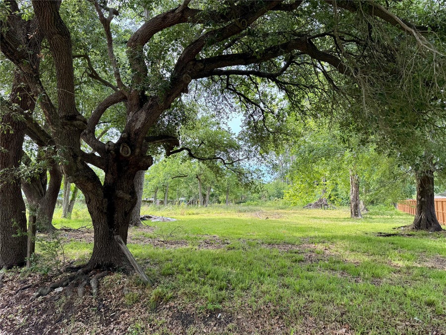 Property photo for 1926 Dolly Wright Road, Houston, TX