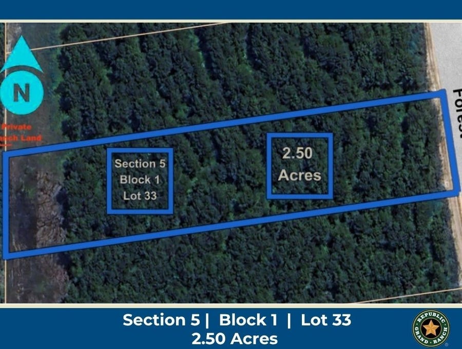 Property photo for 15673 Forest Grove Drive, Willis, TX
