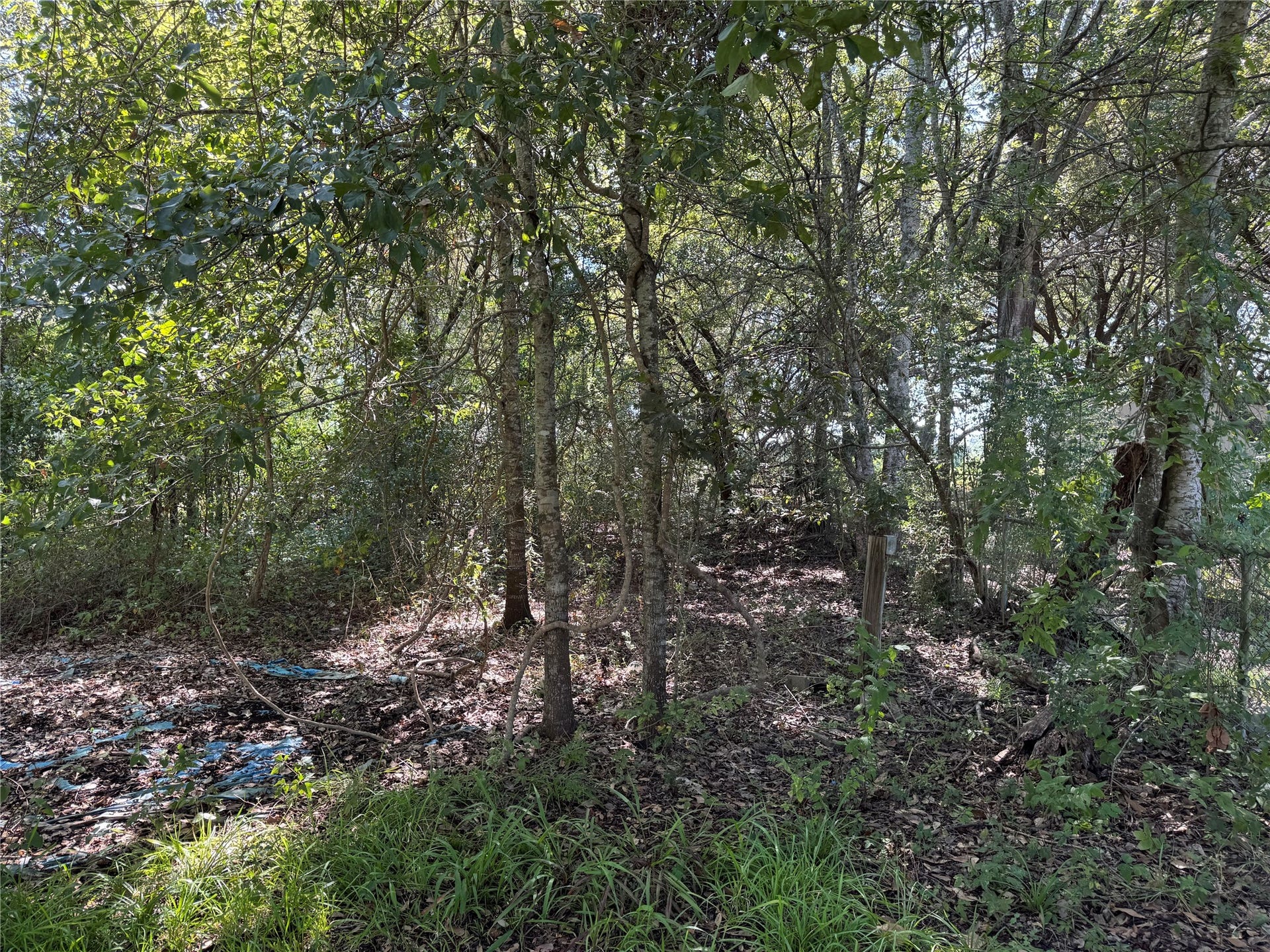 206 Sunset Heights Avenue, Dayton, TX 77535 206 Sunset Heights Avenue, Dayton, TX 77535