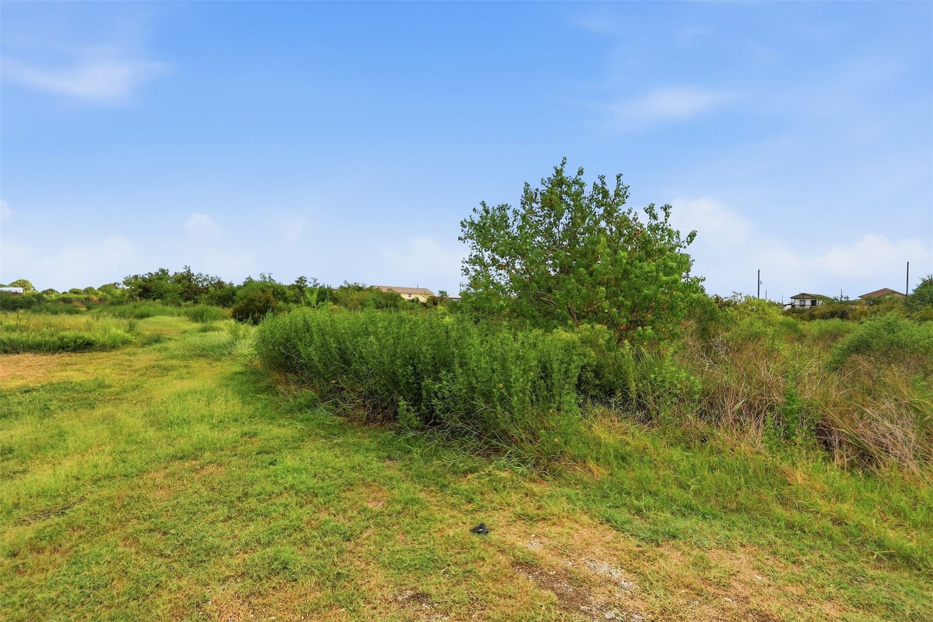 17 W Street, San Leon, TX 77539 Ground-level view along a mowed path next to dense native vegetation and a small fruit-bearing tree. Nearby homes are visible on the horizon under a bright blue sky.