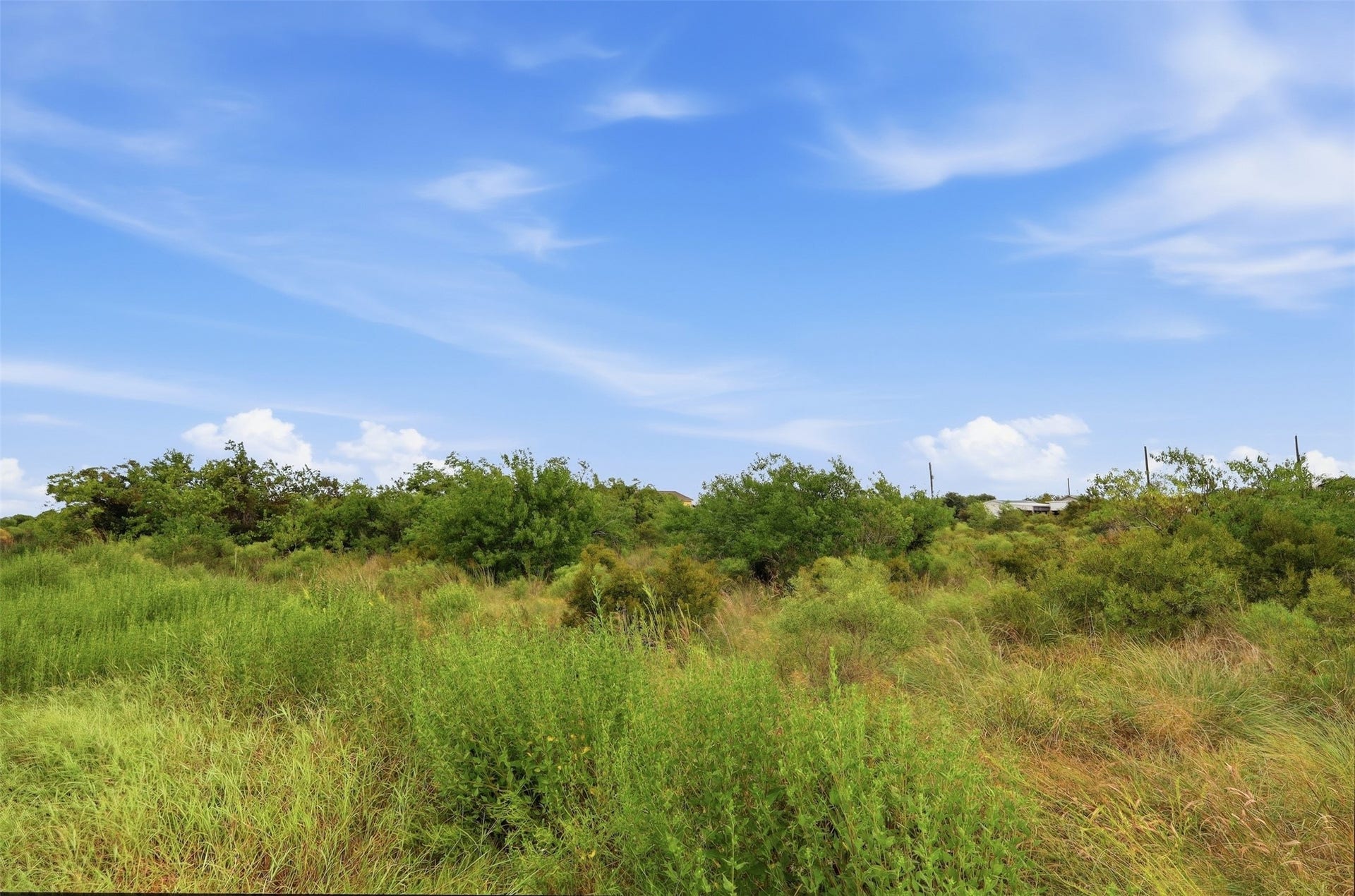 17 W Street, San Leon, TX 77539 Ground-level view across the lot's natural grasses and shrubs. The open sky and treeline show the size and character of the property.
