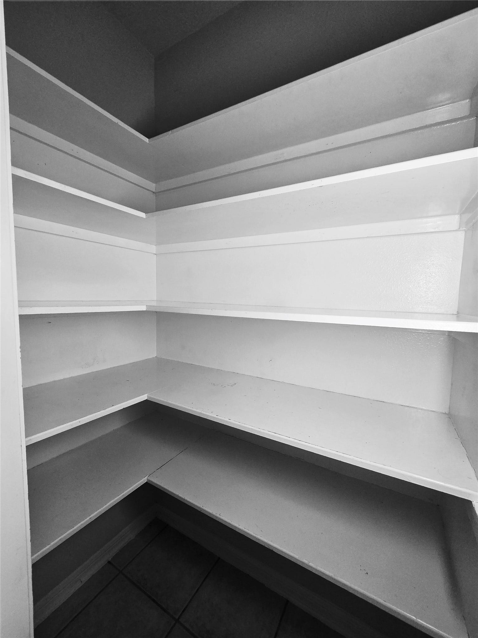 Pantry with plenty of shelving