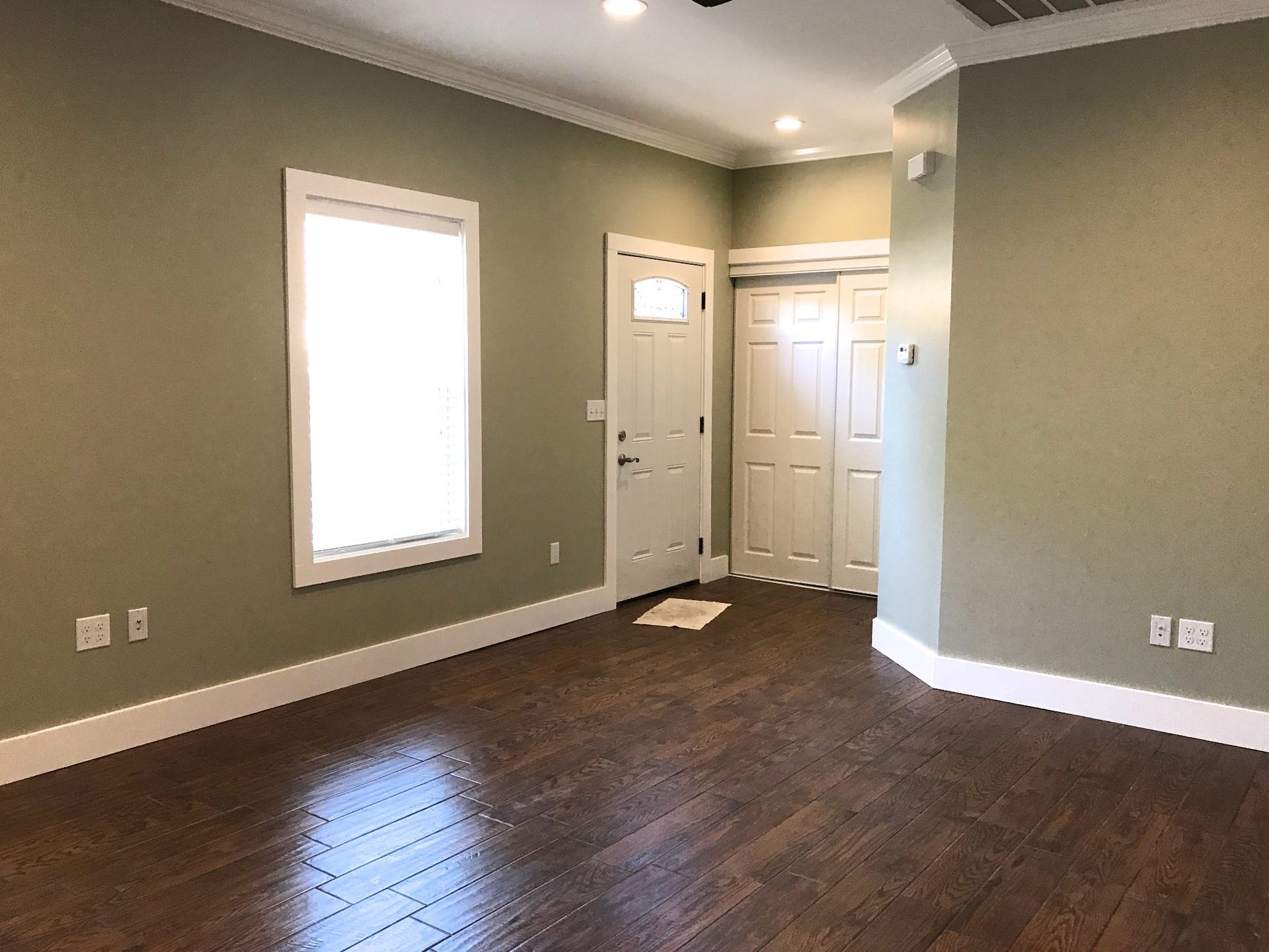 Living room and storage/coat closet