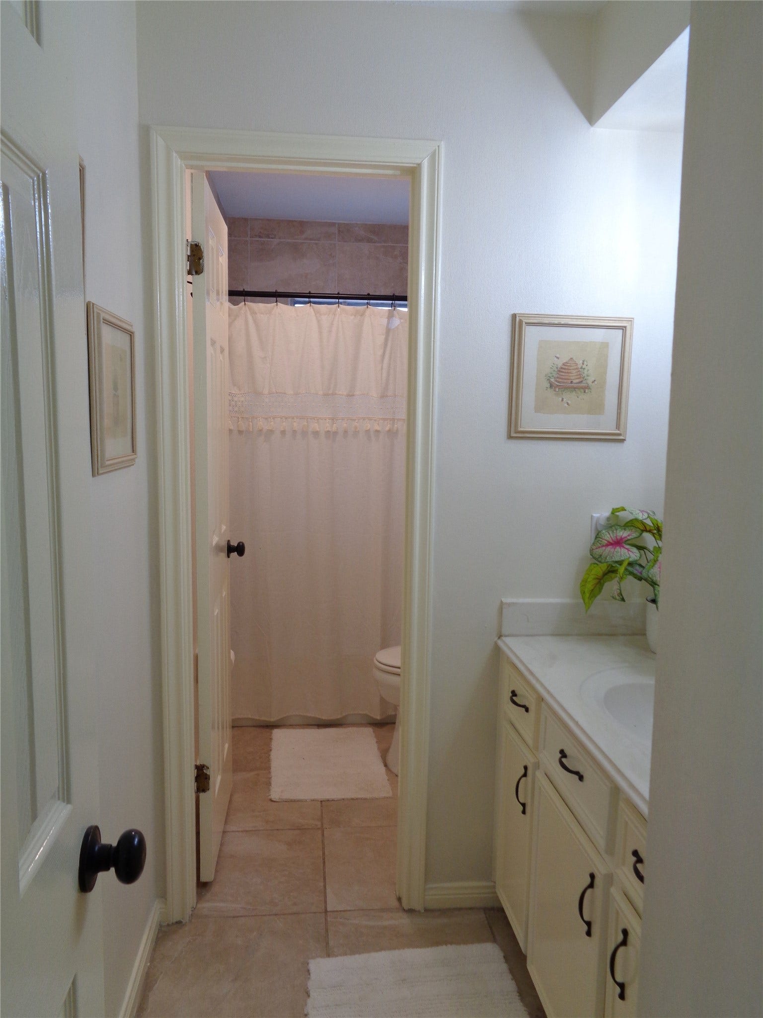 2502 20th Street N, Texas City, TX 77590 Hall bath