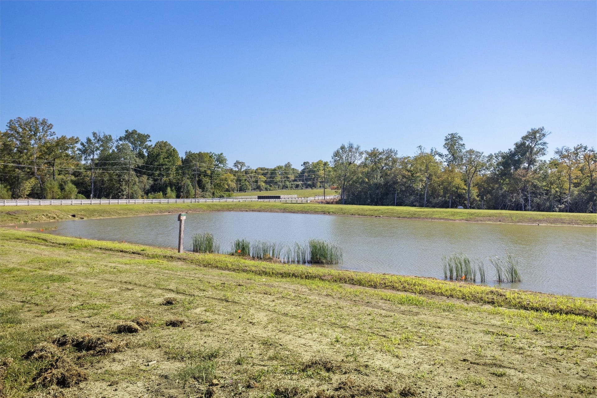 11731 Eclipse Drive, Willis, TX 77318 Views.