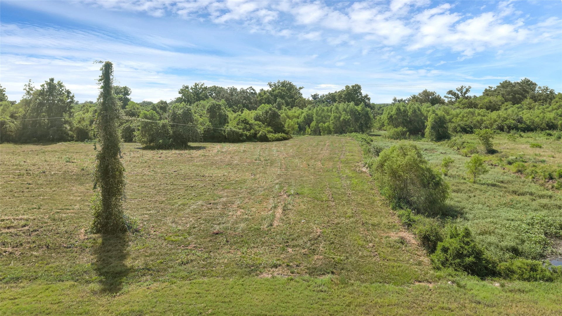 22810 Pittman Drive, Angleton, TX 77515 22810 Pittman Drive, Angleton, TX 77515