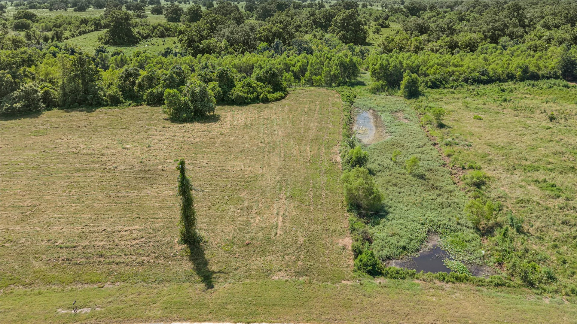 22810 Pittman Drive, Angleton, TX 77515 22810 Pittman Drive, Angleton, TX 77515