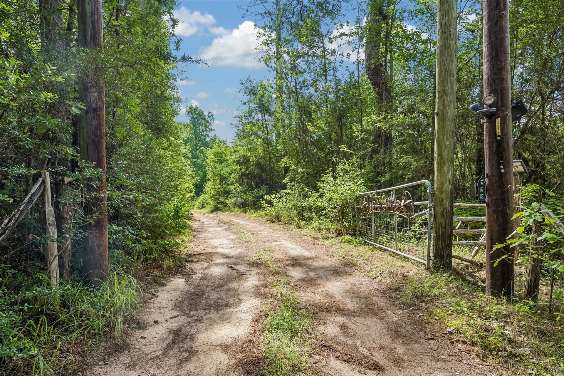 226 S Pine Drive, Montgomery, TX 77356 Metal gates open to a rustic drive framed by tall pines and dense greenery, creating a tucked-away arrival.
