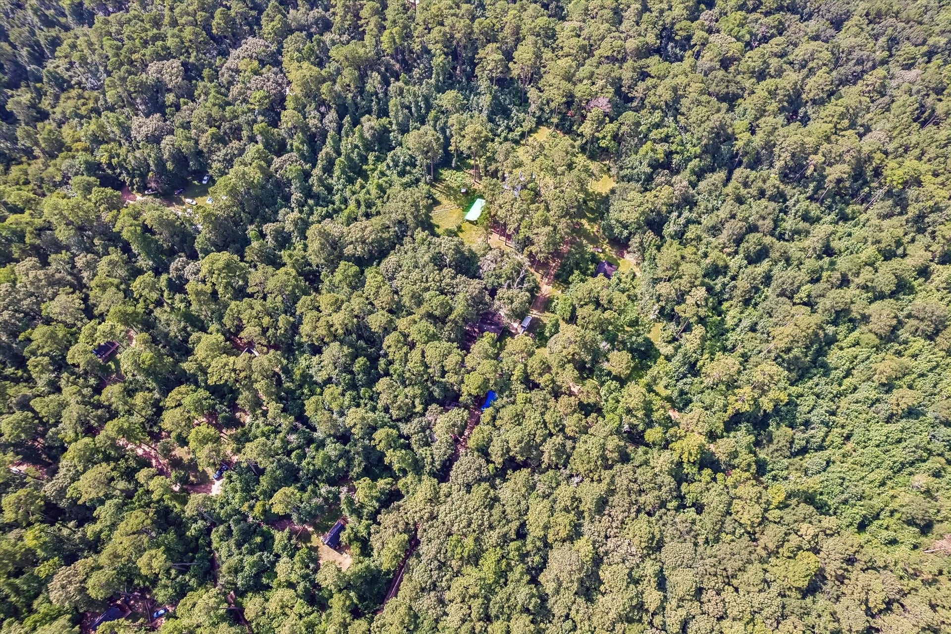 226 S Pine Drive, Montgomery, TX 77356 From above, the buildings sit within a broad expanse of greenery, with small clearings breaking up the canopy. This perspective captures the scale of the wooded setting.