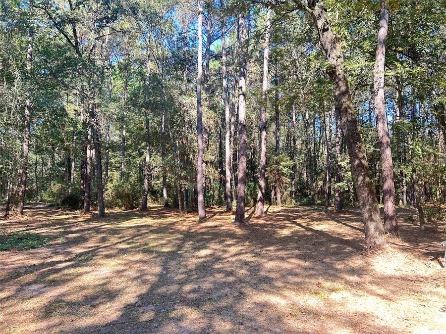 Property photo for 24445 Pipestem Drive, Magnolia, TX