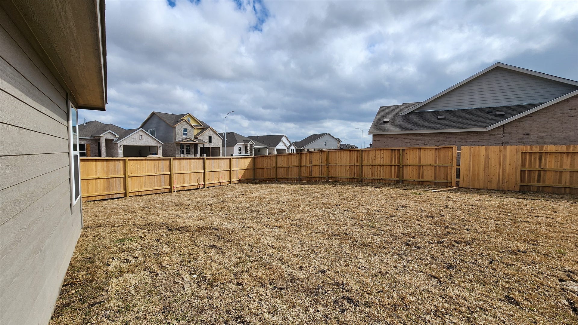 Backyard left side