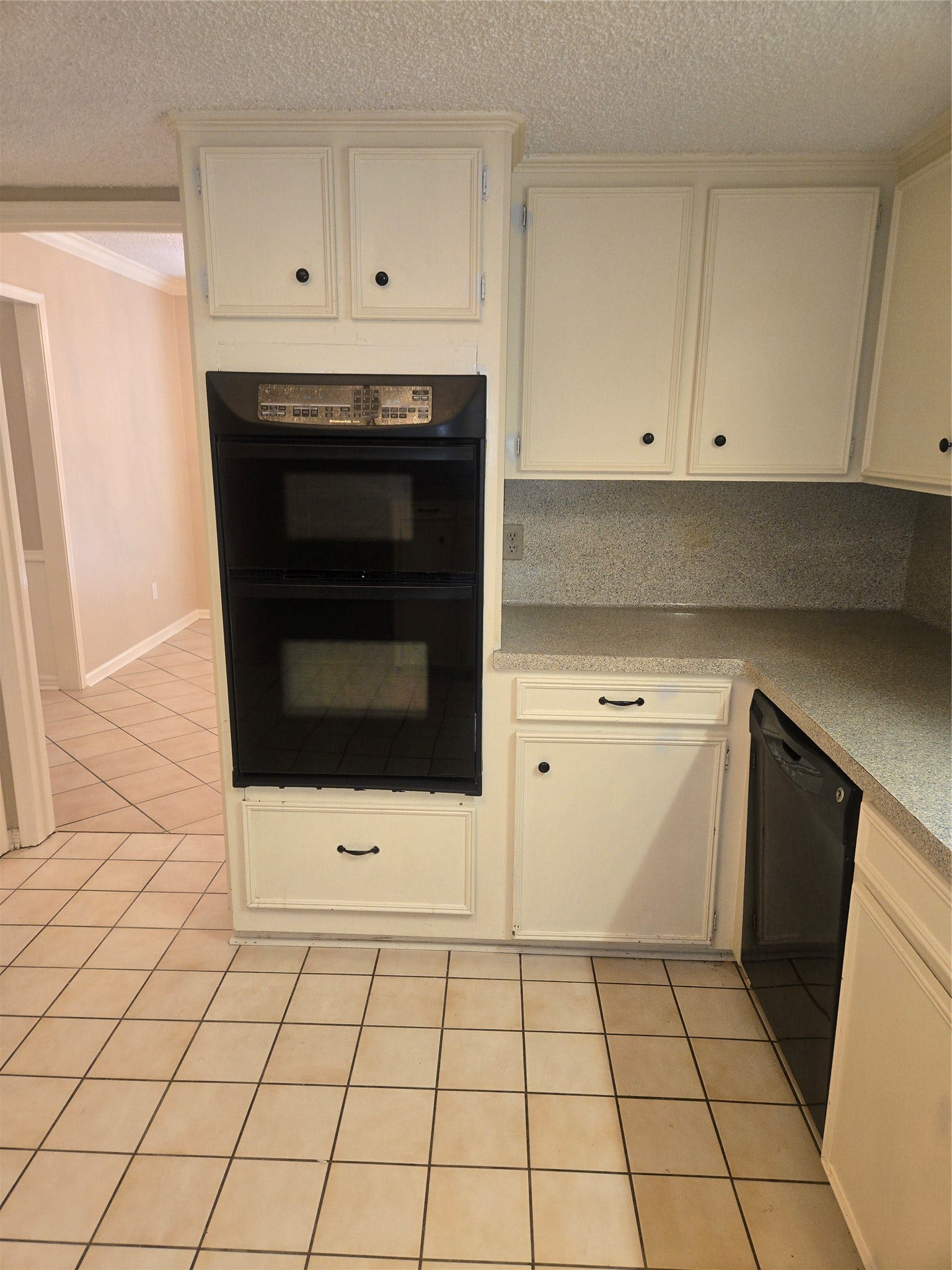 1106 Suwanee Lane, Houston, TX 77090
