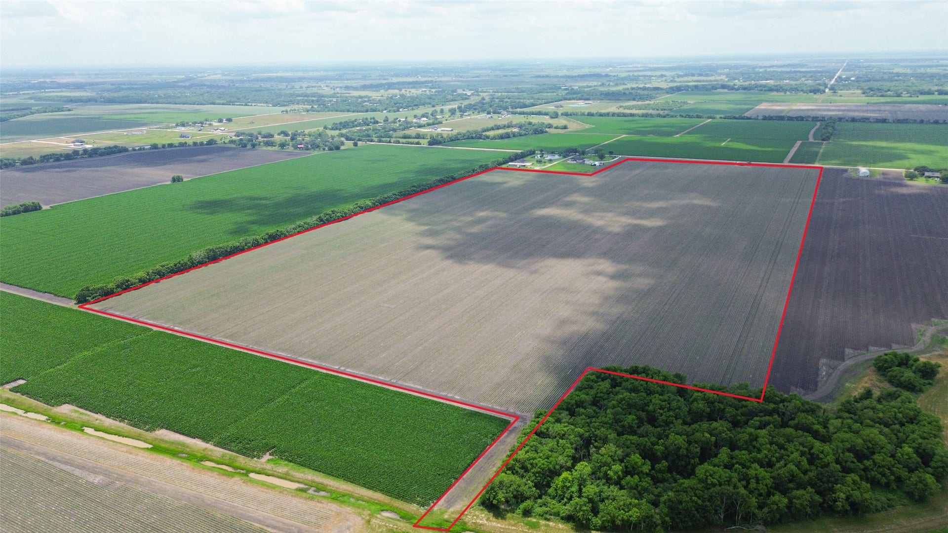 4141 Reeh Road, Needville, TX 77461 4141 Reeh Road, Needville, TX 77461