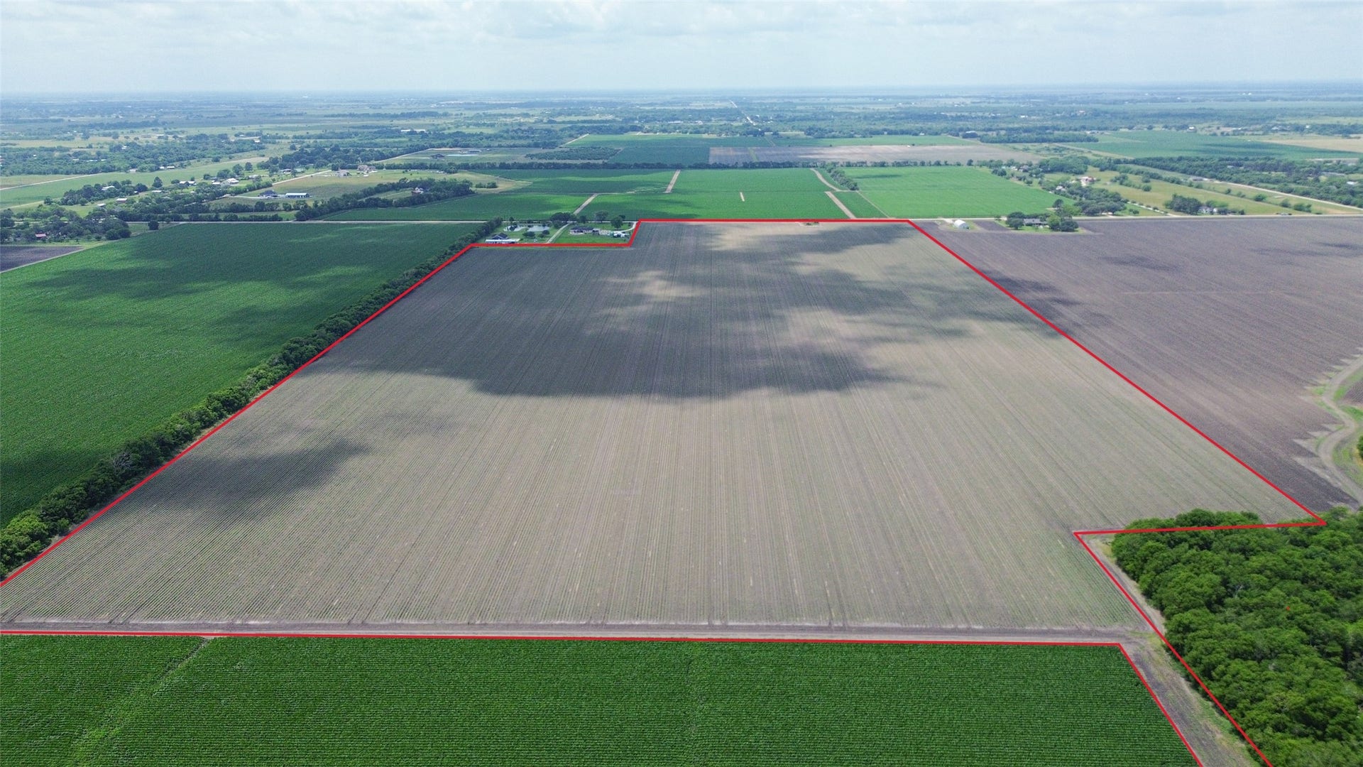 4141 Reeh Road, Needville, TX 77461 4141 Reeh Road, Needville, TX 77461