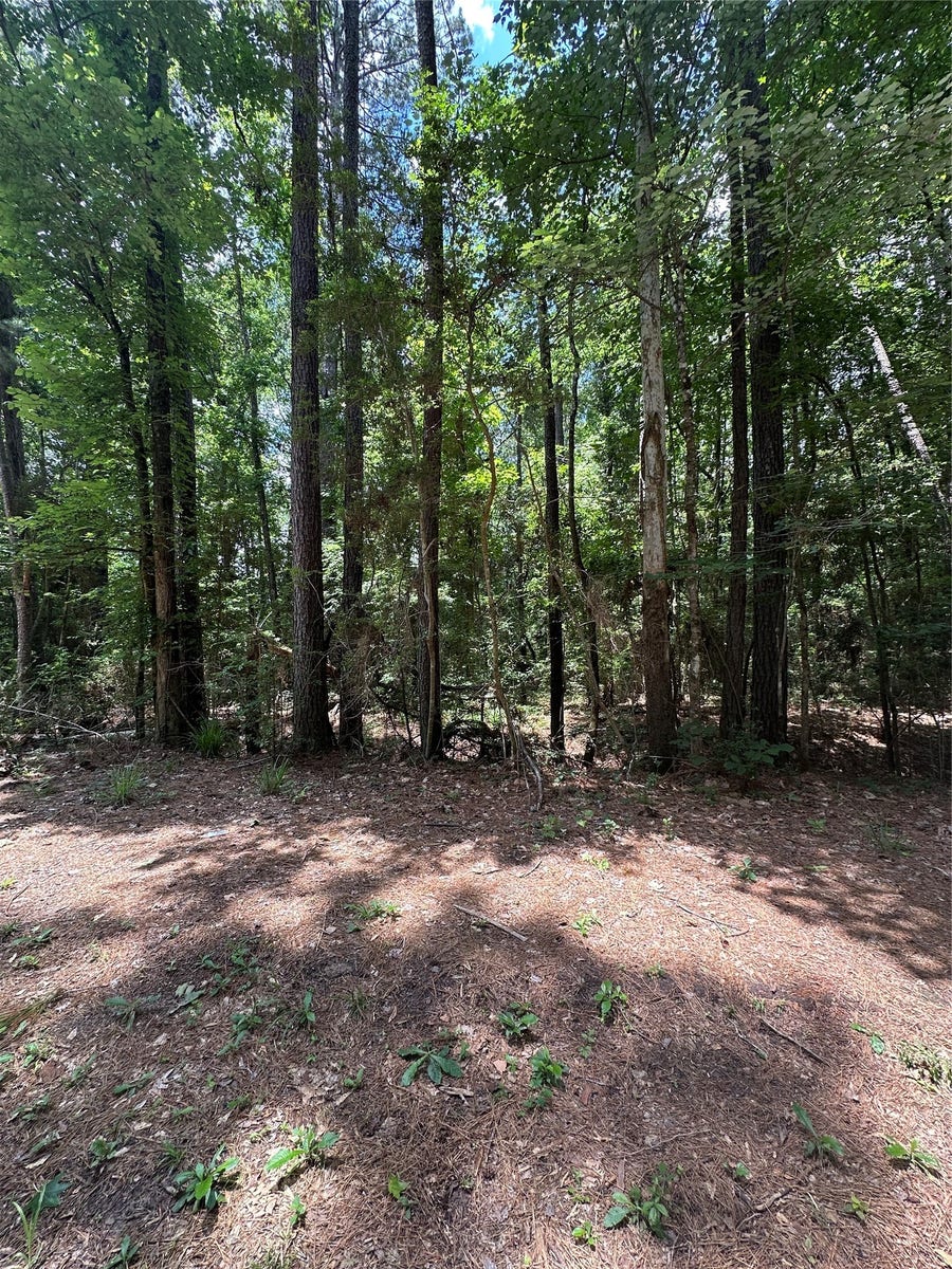 Property photo for 0 Royal Estates Dr, Conroe, TX