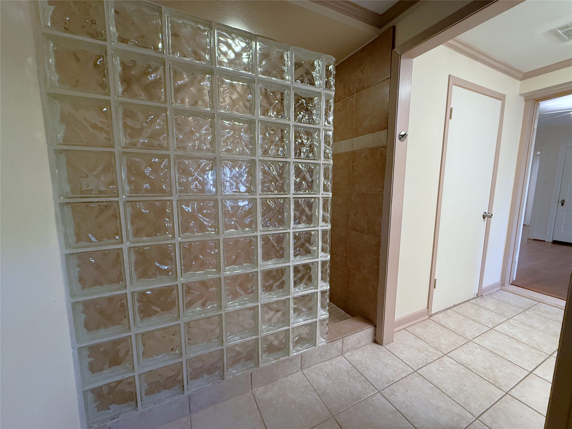 1968 Dryden Road, #2, Houston, TX 77030 The primary bathroom shower features vintage block glass.