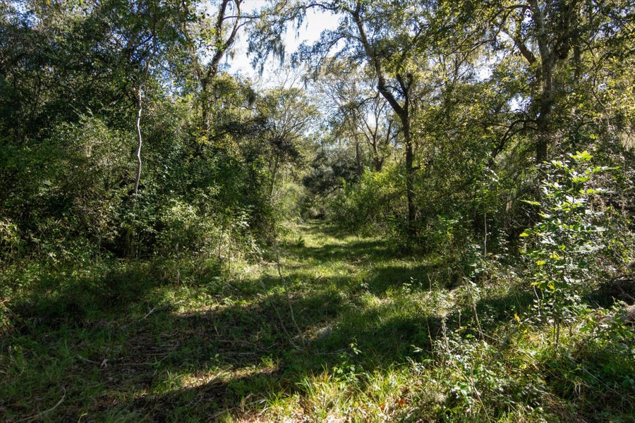 Property photo for 0000 CR 611, Angleton, TX