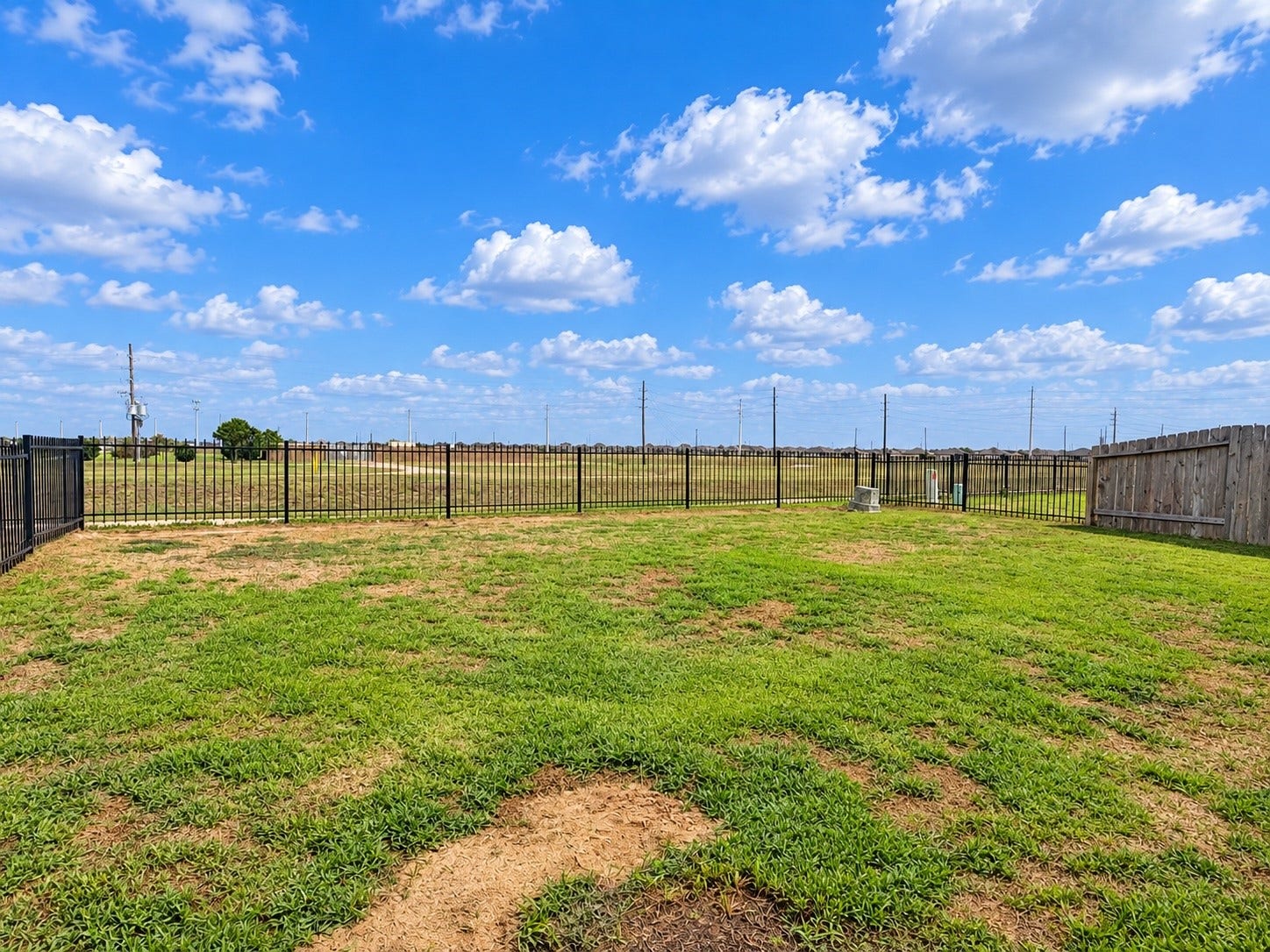 29443 Bryans Manor, Fulshear, TX 77494 Expansive backyard with open green space and fencing, providing a versatile outdoor area for relaxation and recreation.