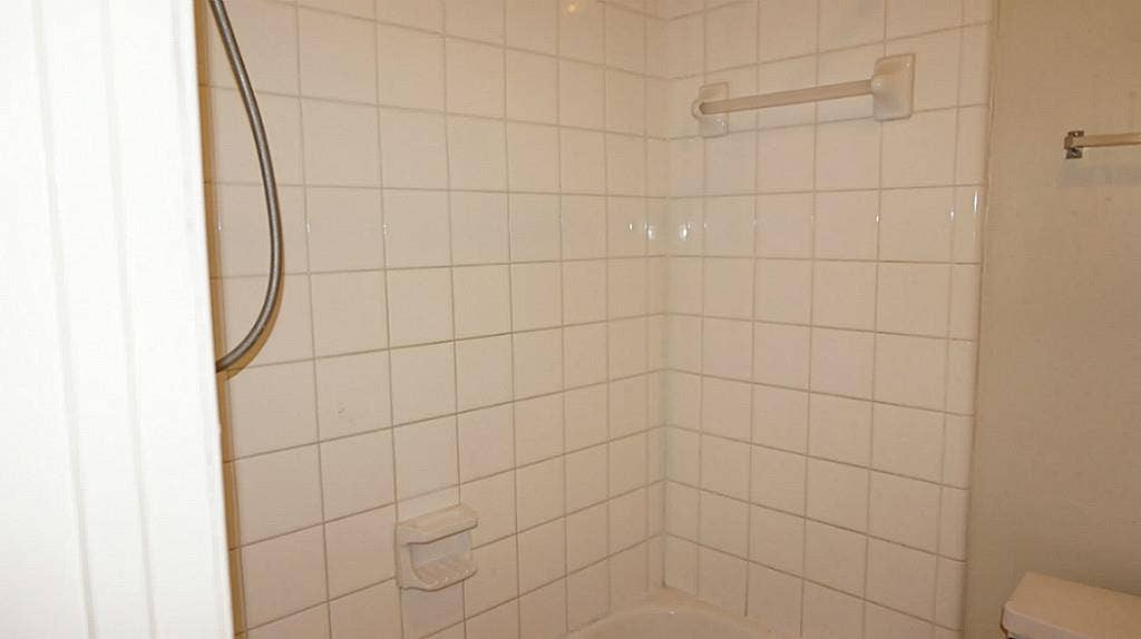 9217 Carousel Lane, Houston, TX 77080 Master Bath Tub & Shower